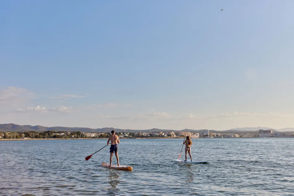 TAIGA Delta de l'Ebre