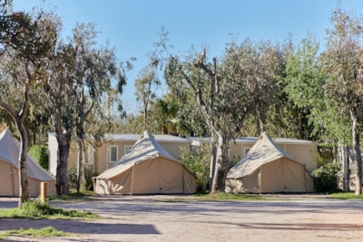 Glamping Bell Tent Balsa — 2