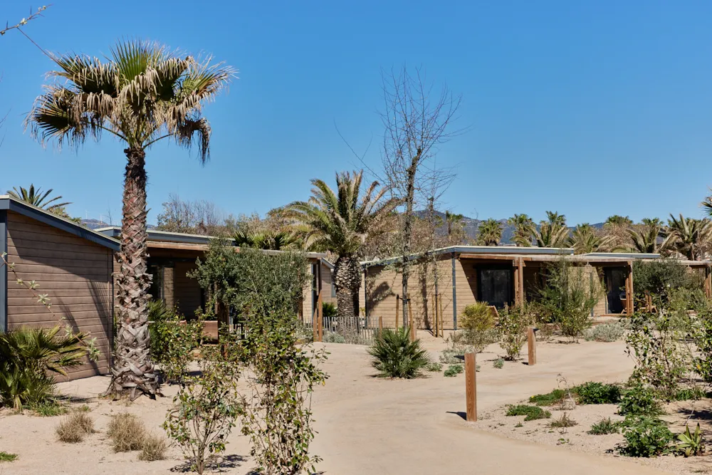 TAIGA Delta de l'Ebre