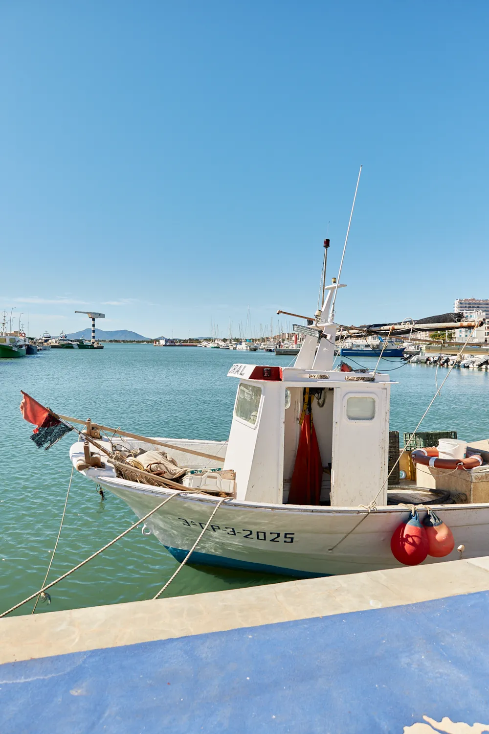TAIGA Delta de l'Ebre