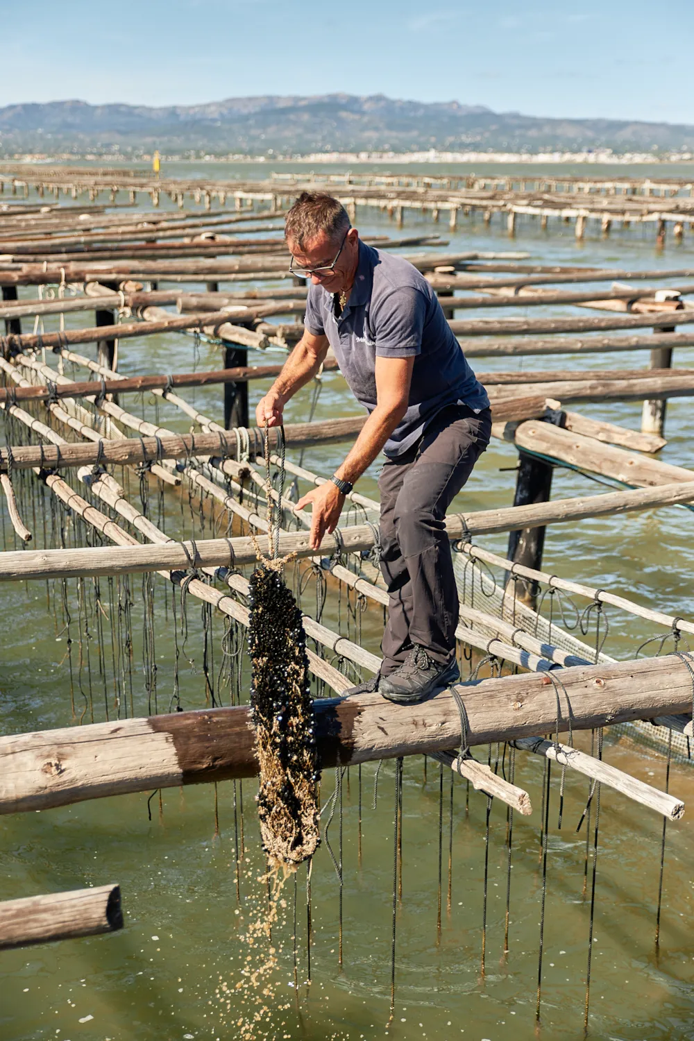 TAIGA Delta de l'Ebre