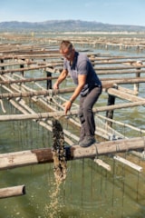 Foto #43 van TAIGA Delta de l’Ebre