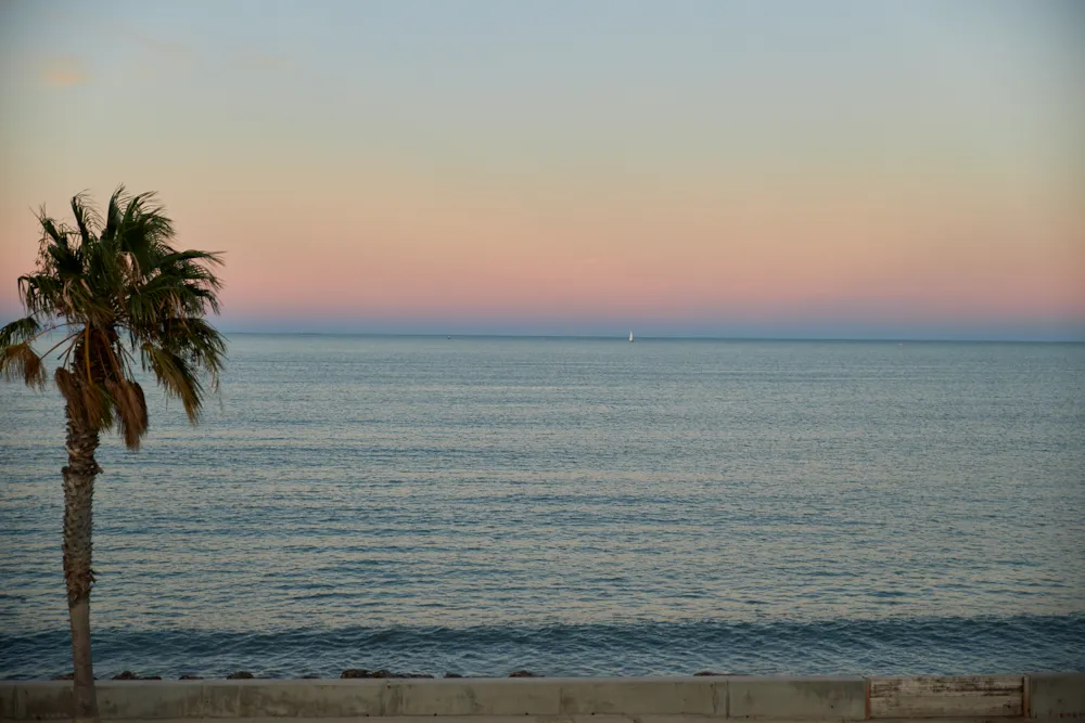 TAIGA Delta de l'Ebre
