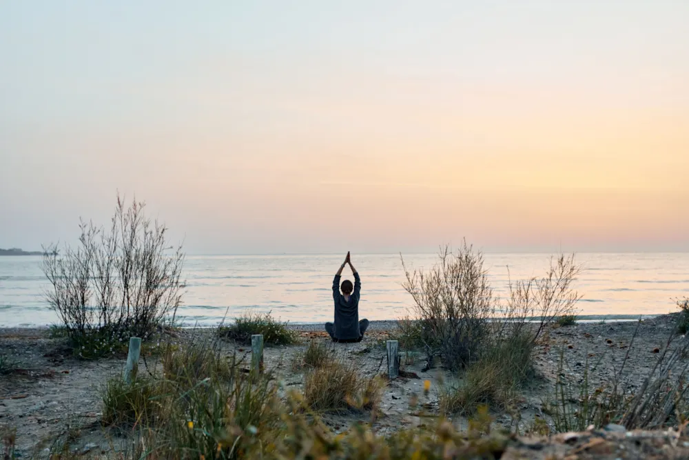 TAIGA Delta de l'Ebre