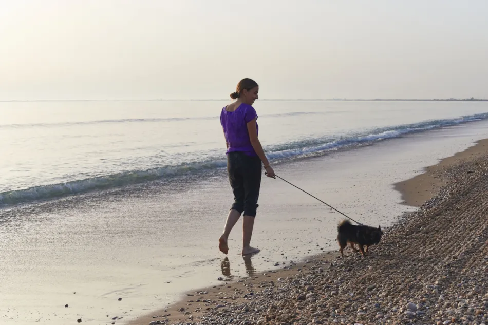 TAIGA Delta de l'Ebre