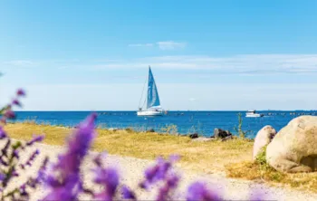 Stellplatz - Himmelfahrt - Insel-Camp Fehmarn