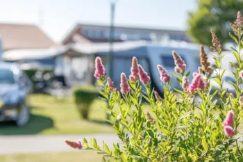 Stellplatz - Fronleichnam - Insel-Camp Fehmarn