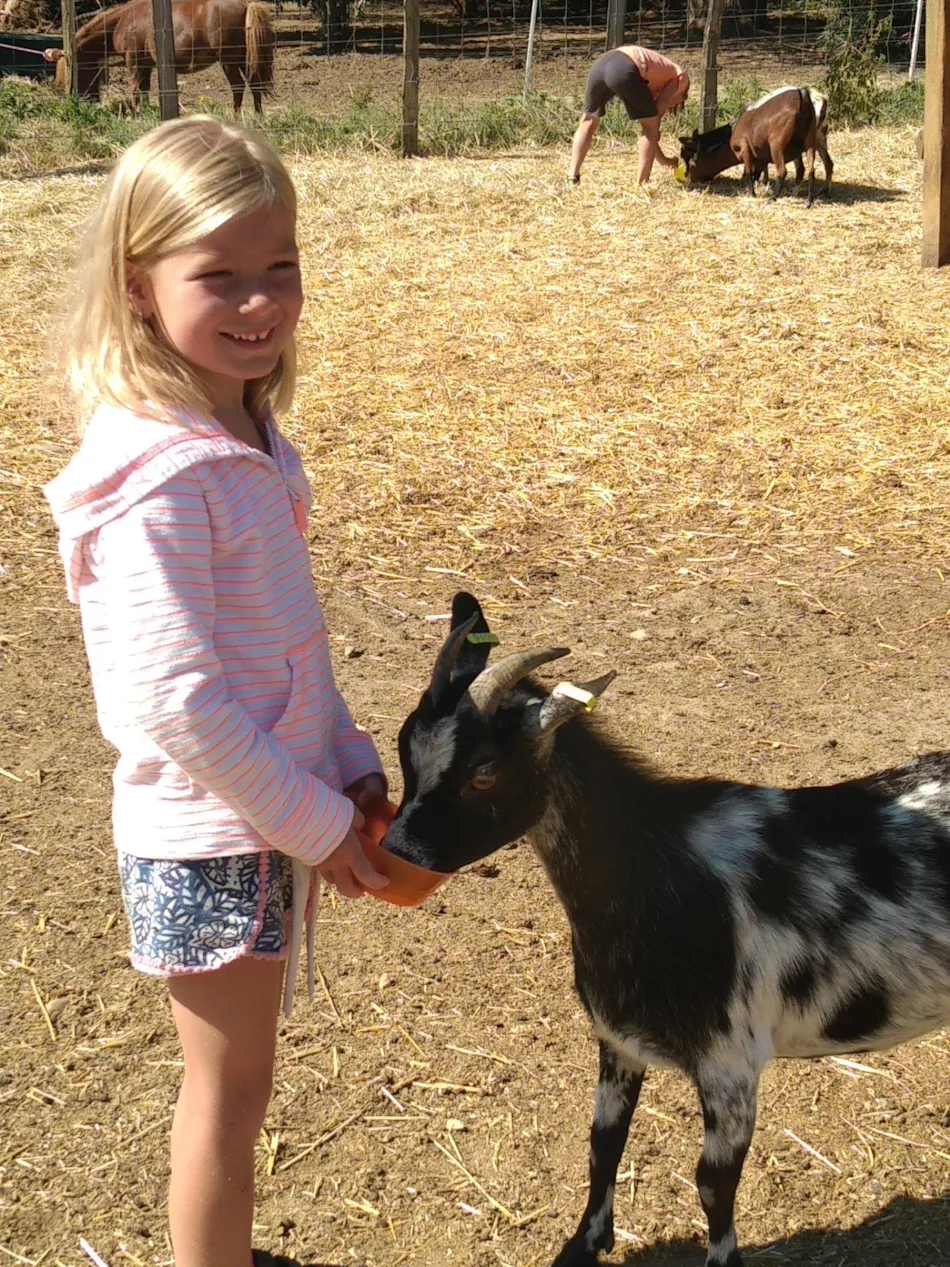 Flower Camping Les Plages de l'Ain