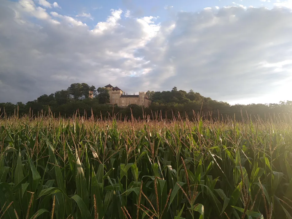 Flower Camping Les Plages de l'Ain