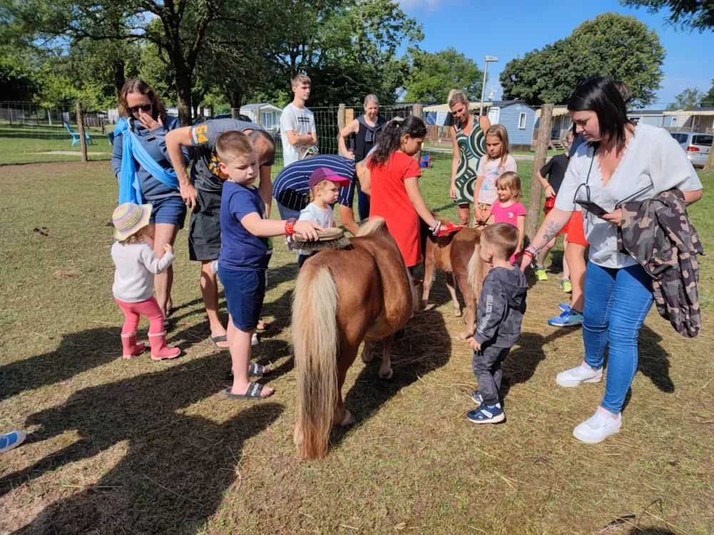 Camping Les Plages de l'Ain