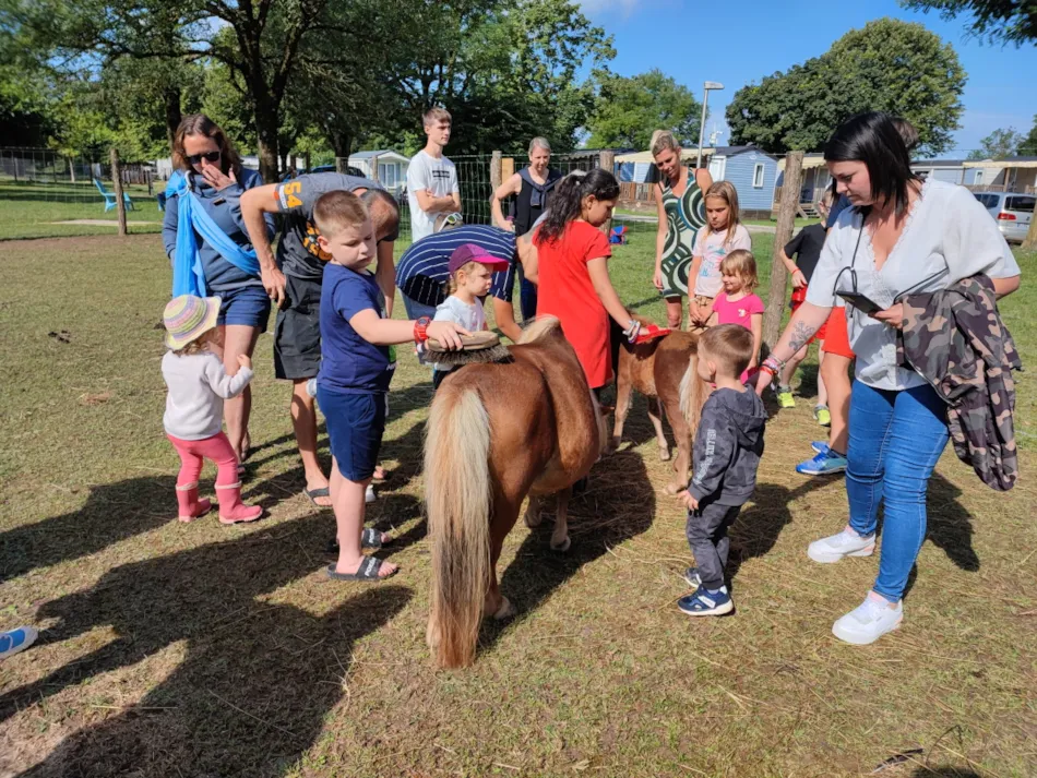 Flower Camping Les Plages de l'Ain