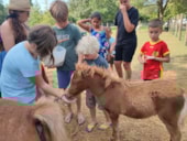 Flower Camping Les Plages de l'Ain