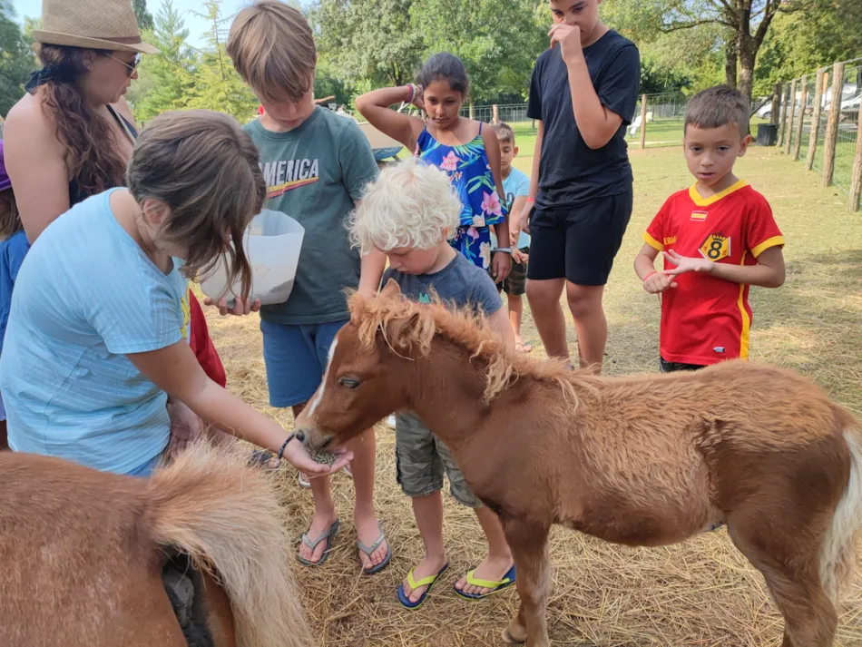 Flower Camping Les Plages de l'Ain