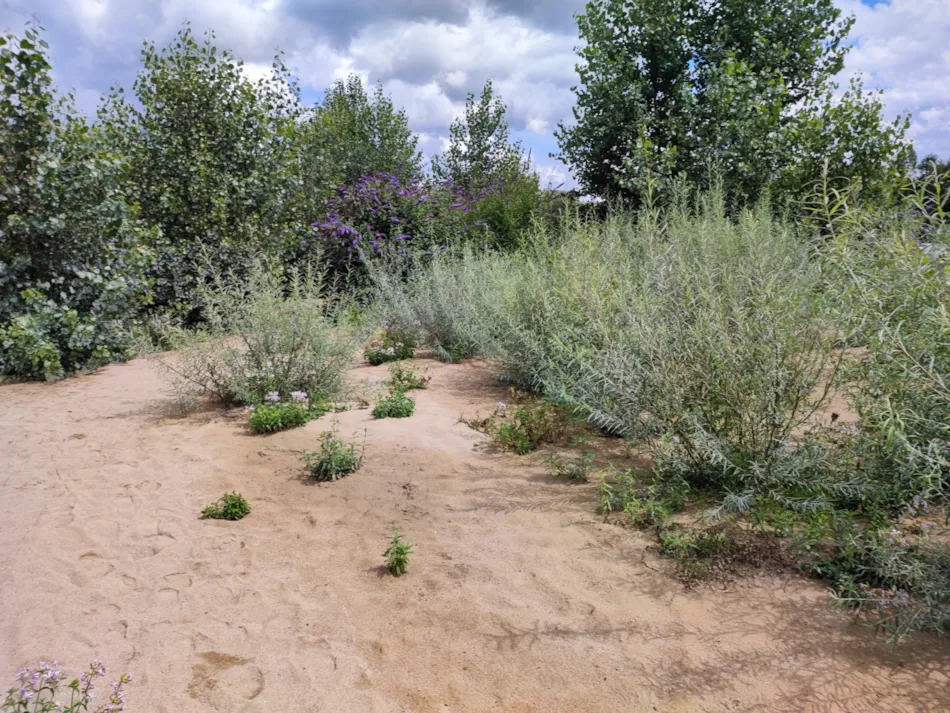 Flower Camping Les Plages de l'Ain