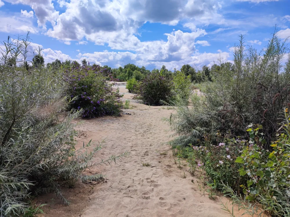 Camping Les Plages de l'Ain