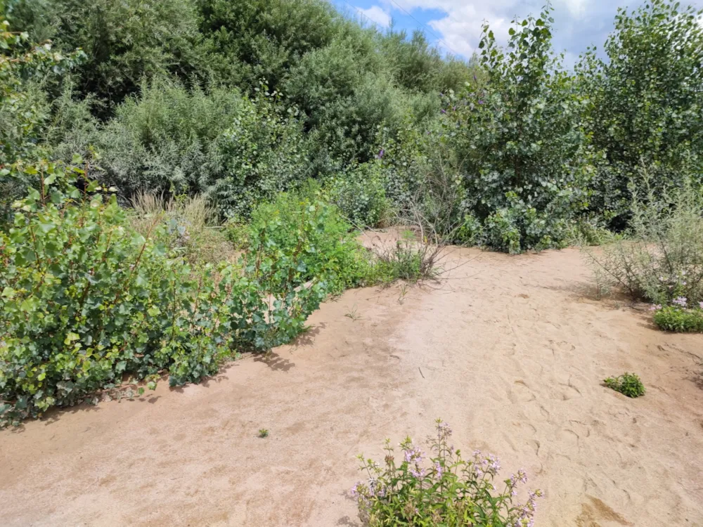 Camping Les Plages de l'Ain