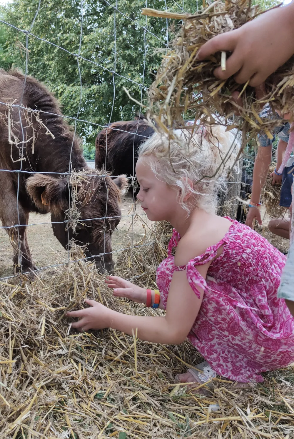 Camping Les Plages de l'Ain