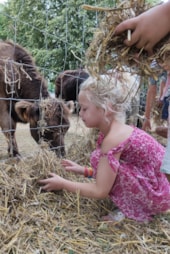 Flower Camping Les Plages de l'Ain