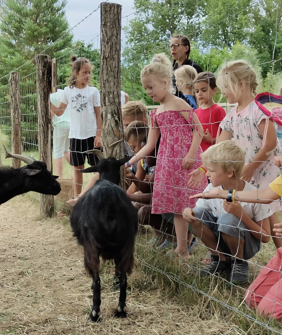 Flower Camping Les Plages de l'Ain