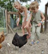 Flower Camping Les Plages de l'Ain