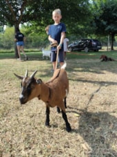 Flower Camping Les Plages de l'Ain