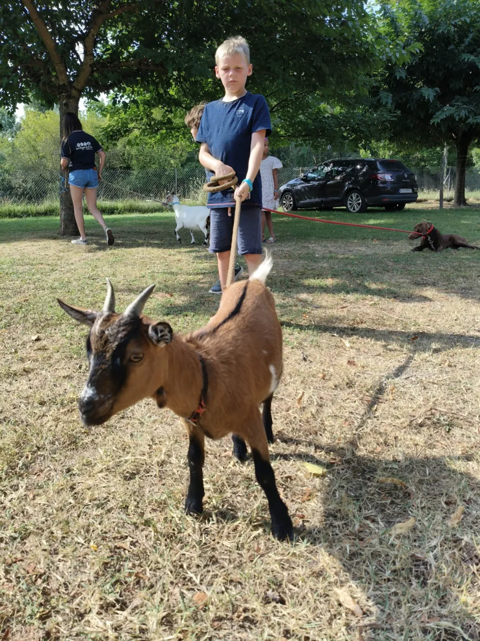 Flower Camping Les Plages de l'Ain