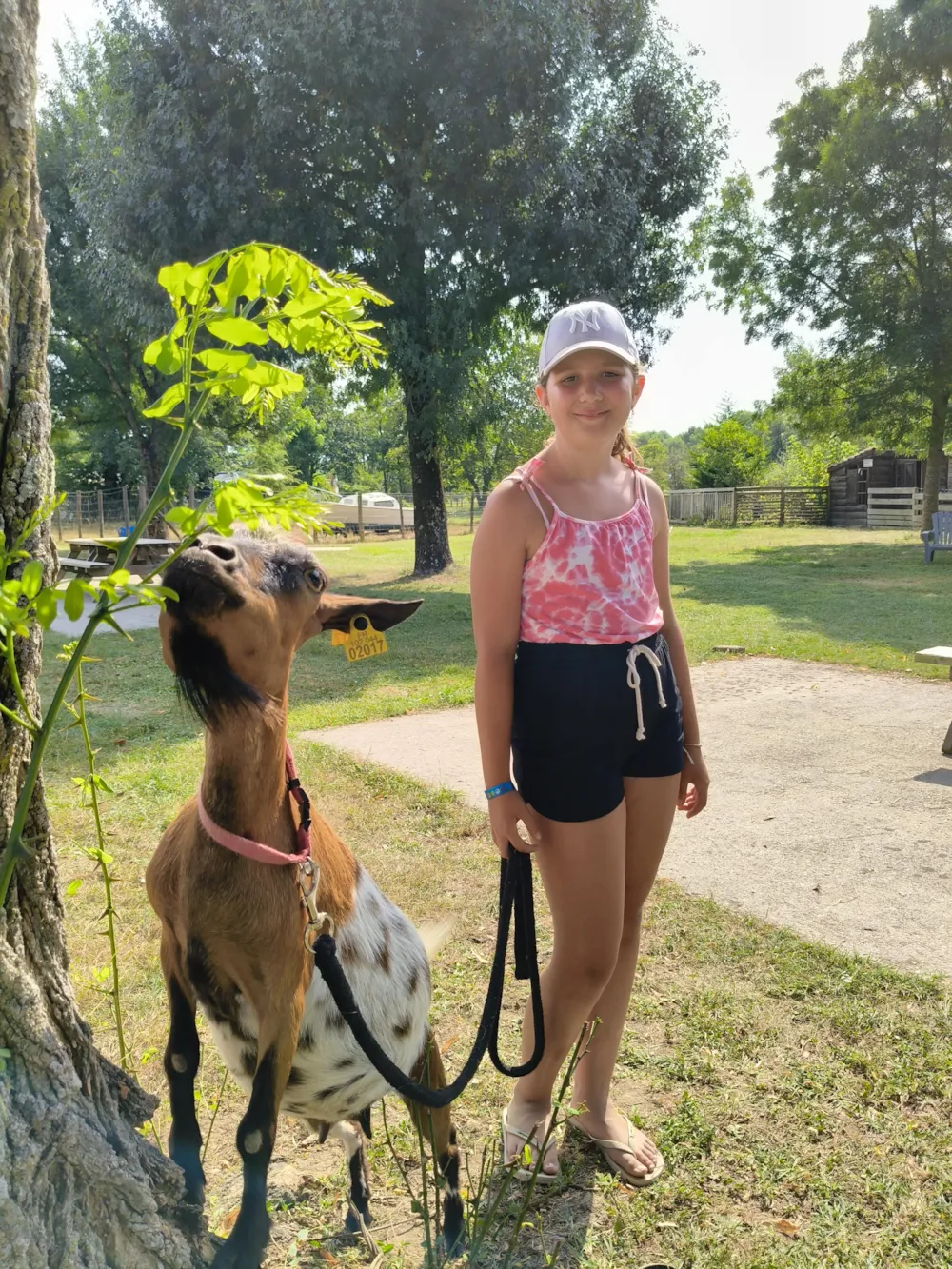 Camping Les Plages de l'Ain