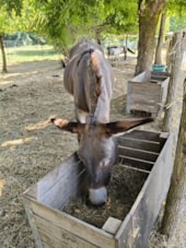 Flower Camping Les Plages de l'Ain