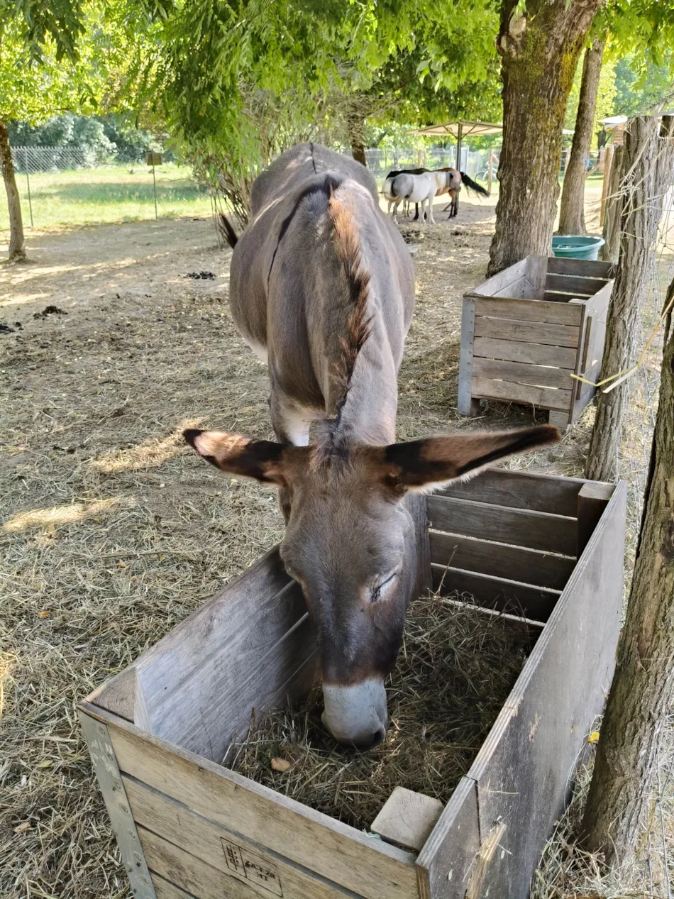 Flower Camping Les Plages de l'Ain