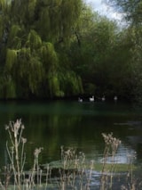 Foto #28 van Camping Seasonova Les Marguerites