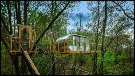 Accommodation - Cabin Module - Moulin de la Jarousse