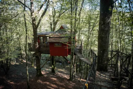 Accommodation - Cabin Zen - Moulin de la Jarousse