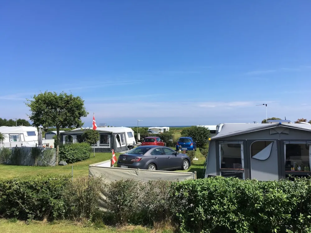 Pitch - Pitch Standard - Hals Strand Camping