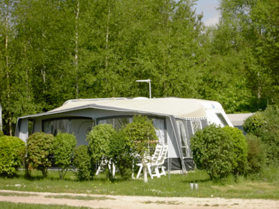 Pitch DELUXE PLUS