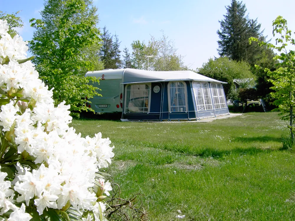 Pitch - Pitch Deluxe - Hals Strand Camping