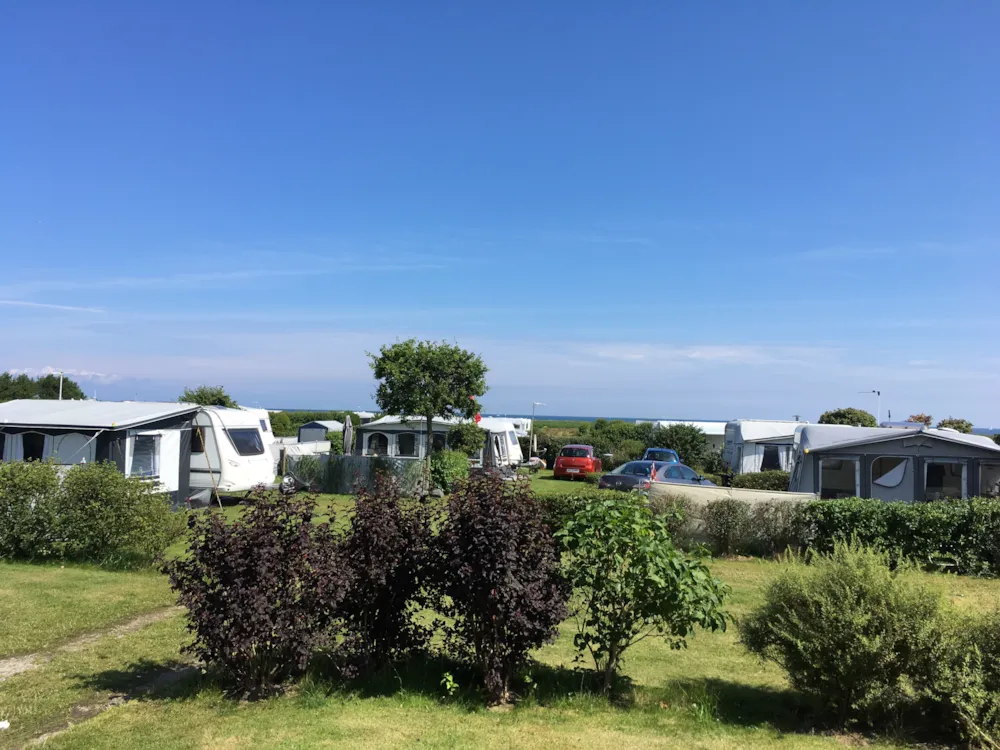 Pitch - Pitch Comfort - Hals Strand Camping
