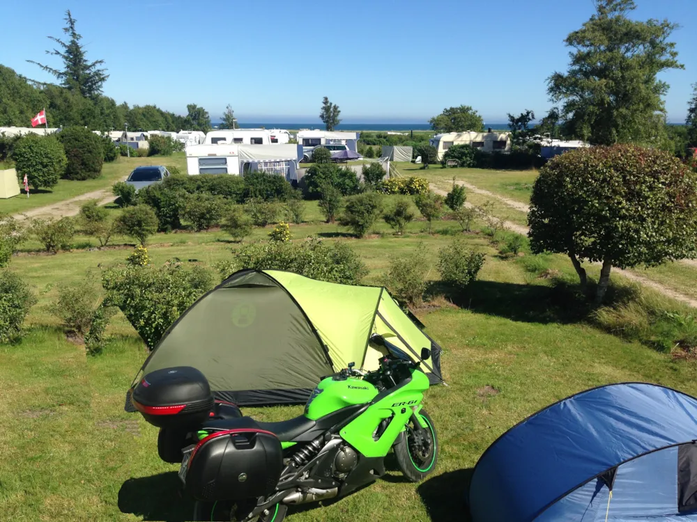 Pitch - Pitch Tent - Hals Strand Camping