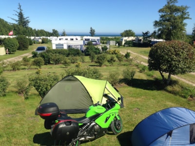 Pitch TENT