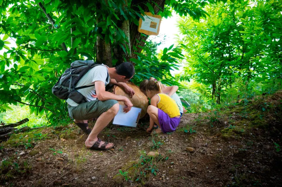 Bivouac nature - Cévennes