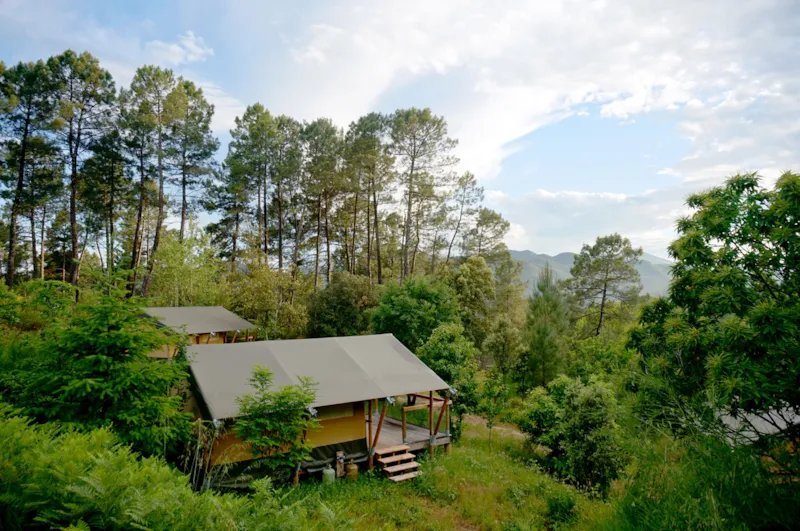 Tente Baroudeur (Sans Salle De Bain Privative)