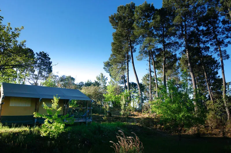Tente Baroudeur (Sans Salle De Bain Privative)