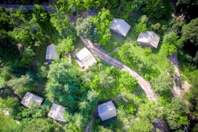 Bivouac nature - Cévennes