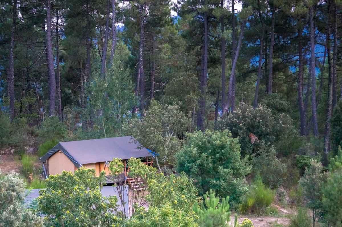 Bivouac nature - Cévennes — Photo 8