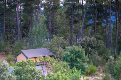 Bivouac nature - Cévennes