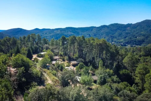 Bivouac nature - Cévennes