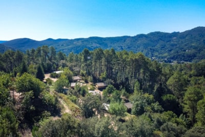 Bivouac nature - Cévennes