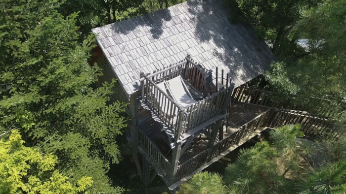 Cabane Dans Les Arbres - Palombière