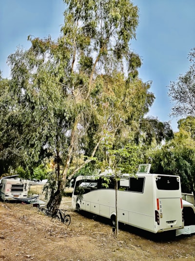 RV PITCH + ELECTRICITY