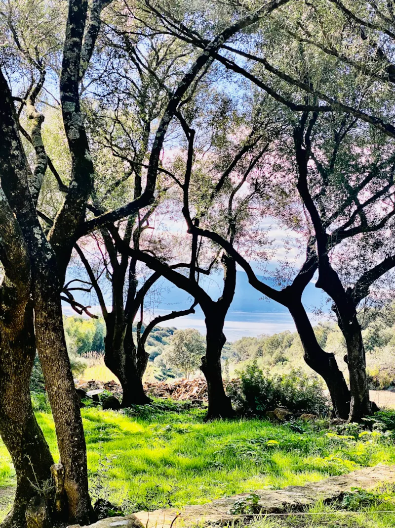 Emplacement Camping-Car + Electricite