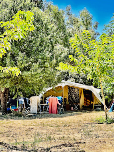 TENT PITCH + Car + Electricity